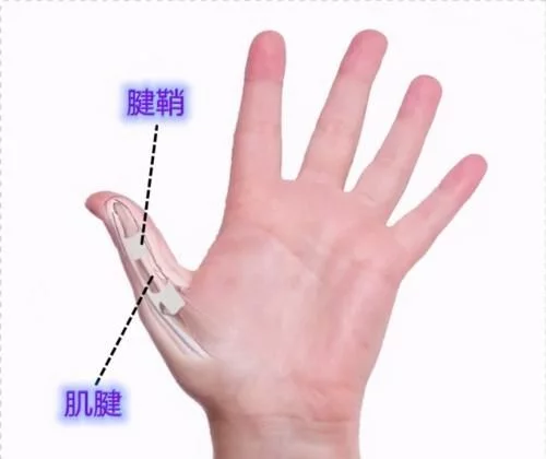 圖片 17.png